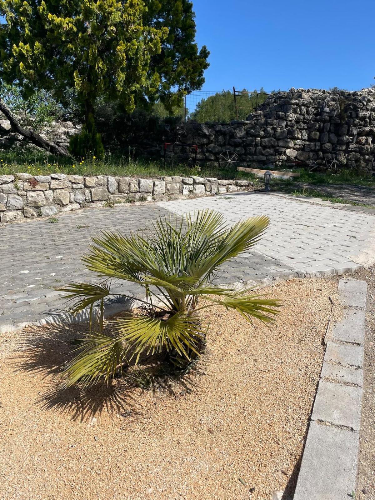 Le Castellas - Gite En Pleine Nature Montmirat Exteriér fotografie