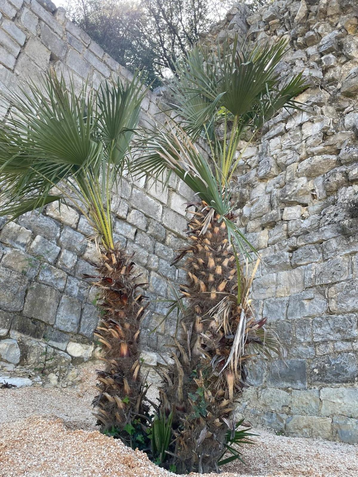 Le Castellas - Gite En Pleine Nature Montmirat Exteriér fotografie